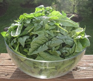 spinach2