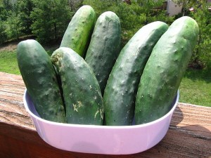 cucumber3