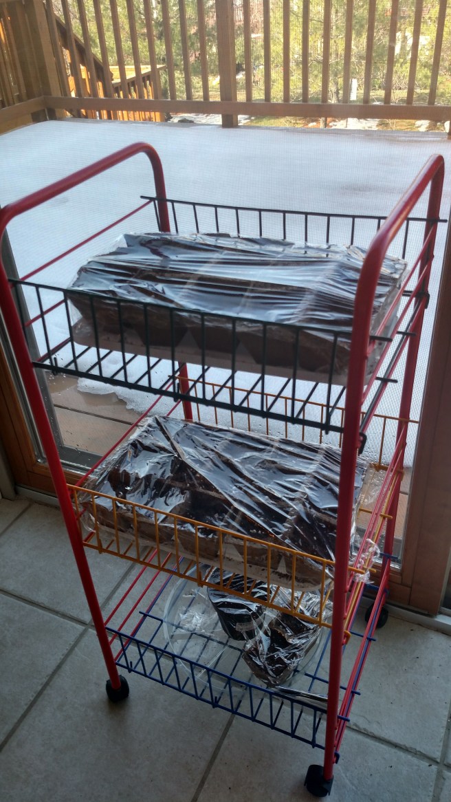 Edible Garden Begins