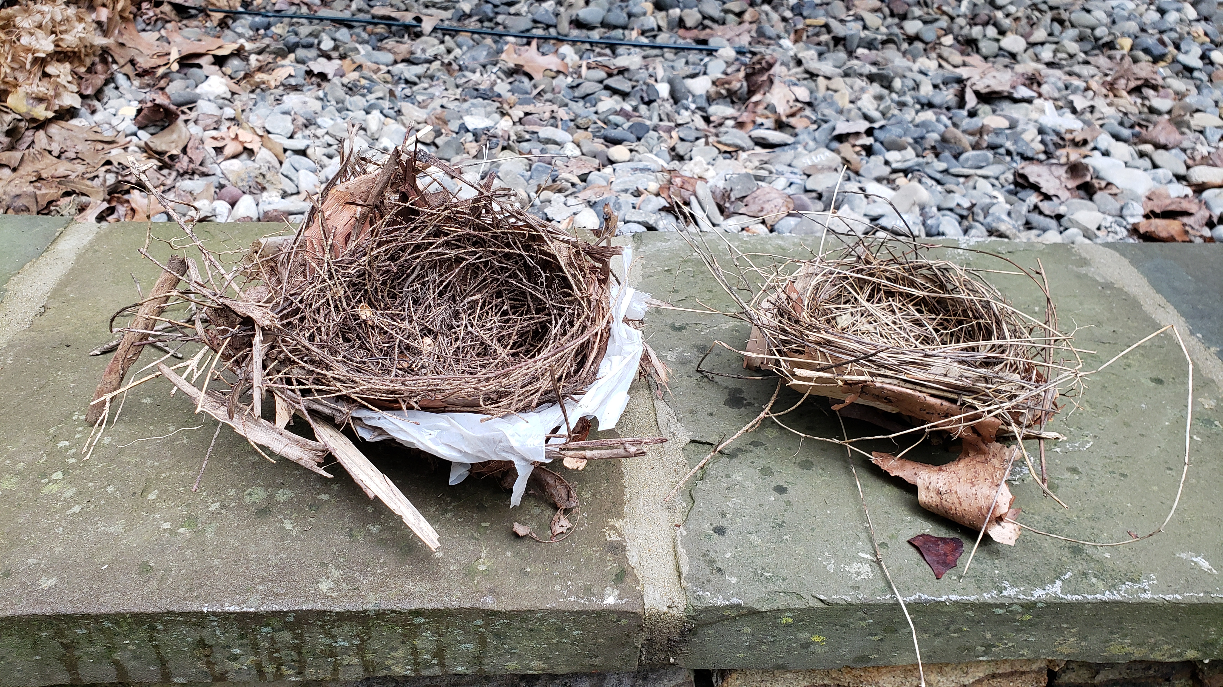 Nests | Our Garden Plot